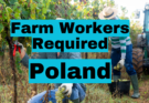 Farm Workers Required In Poland
